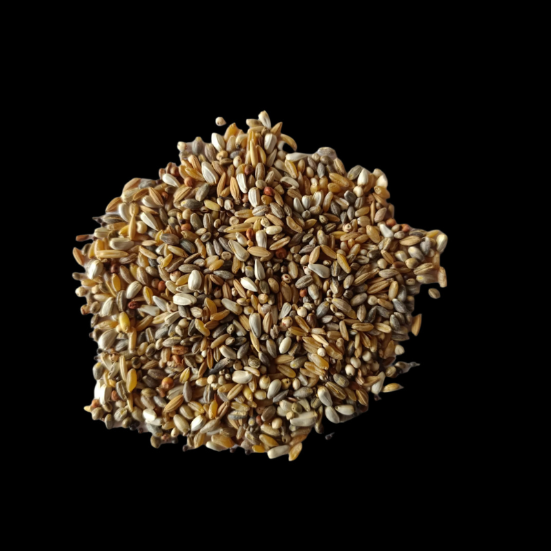 bird-seeds-food-particle-partikl