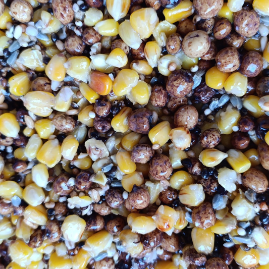 particle-seeds-tigernut-maize-hemp